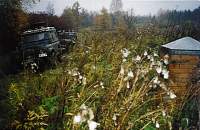 Памятный знак на месте деревни Ломоносово, уничтоженной фашистами.